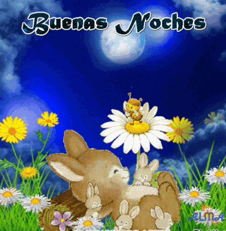 Buenas Noches GIF
