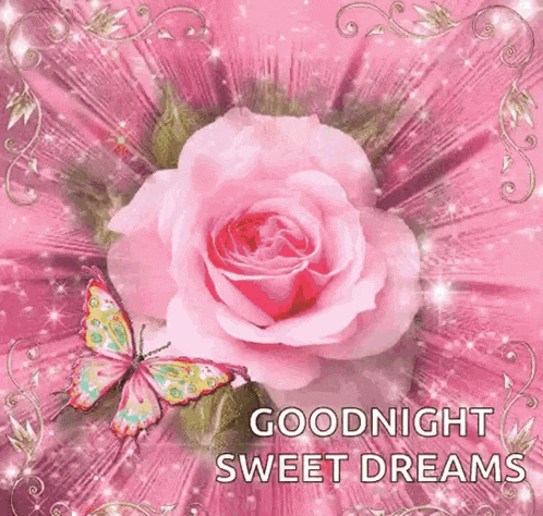 Buenas Noches GIF