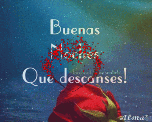 Buenas Noches Que Descanses GIF