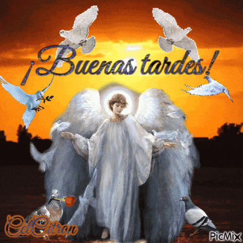 Buenas Tardes Angel GIF