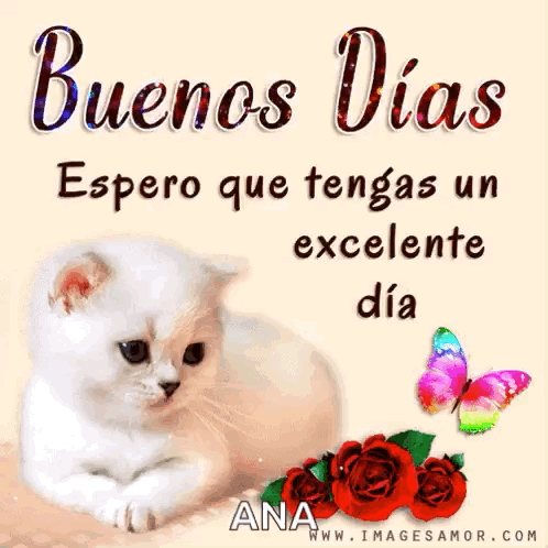 Buenos Días Gif Buenos Días GIF