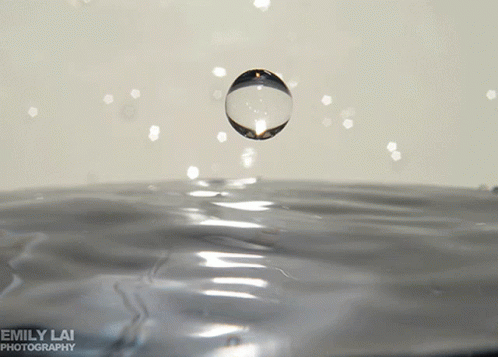 Buenos Días GIF