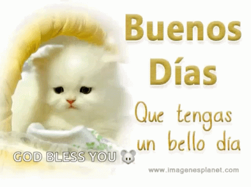 Buenos Dias Good Day GIF