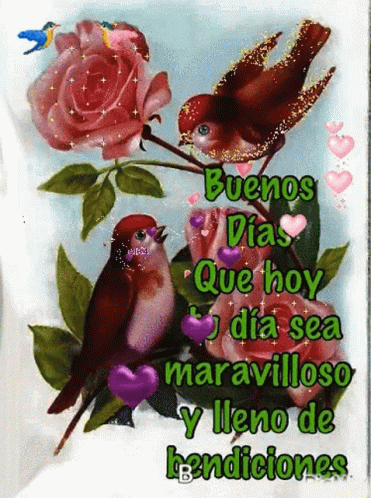 Buenos Dias Good Morning GIF