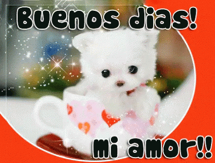 Buenos Dias Mi Amor GIF