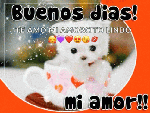 Buenos Dias GIF