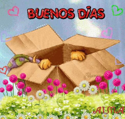 Buenos Dias GIF