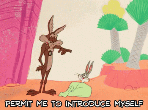Bugs Bunny Wile E Coyote GIF