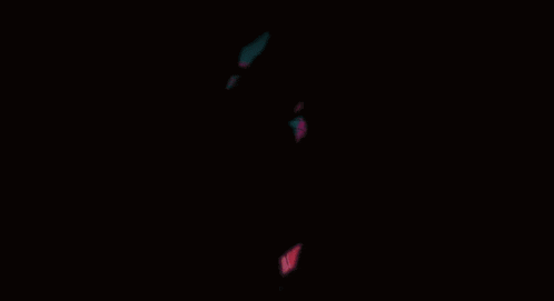Bugs Cockroach GIF