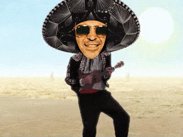 Buhofiesta GIF