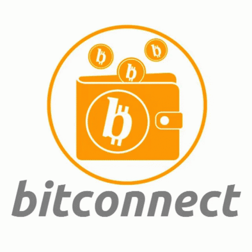 Buidl Software Development GIF