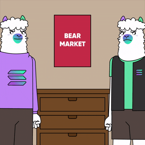 Bull Market Solama GIF