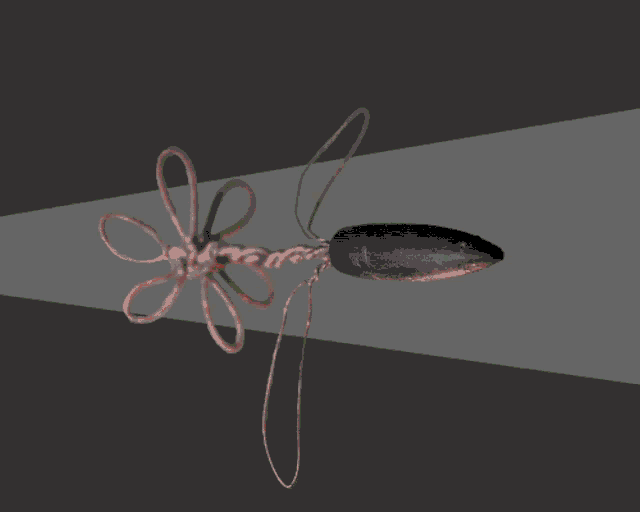 Bullet Flower Bullet GIF