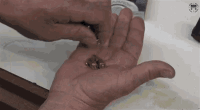 Bullets How To GIF