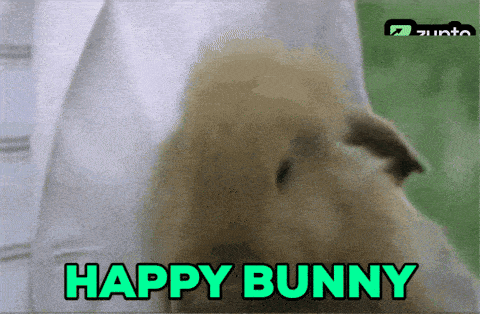 Bullish Crypto GIF