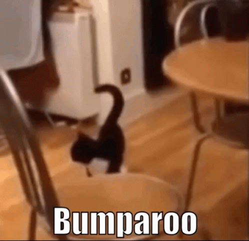 Bump Bumps GIF