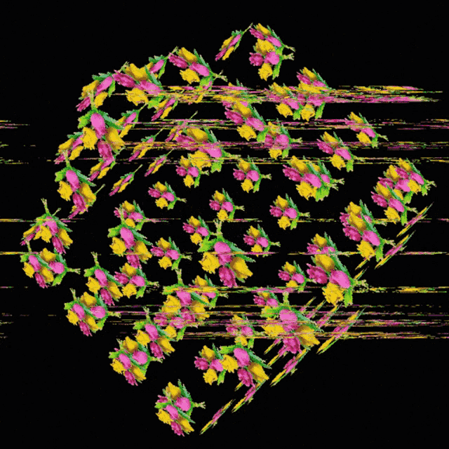 Bunchy Protocol GIF