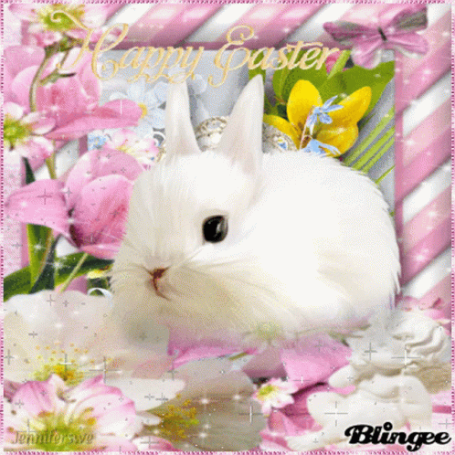 Bunny Bear GIF