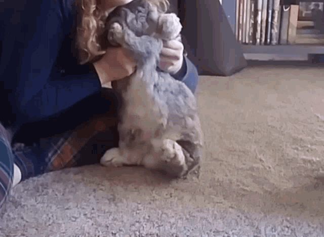 Bunny Dance Dancing GIF