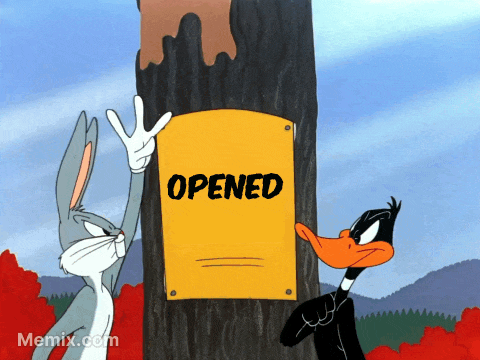 Bunny Funny GIF