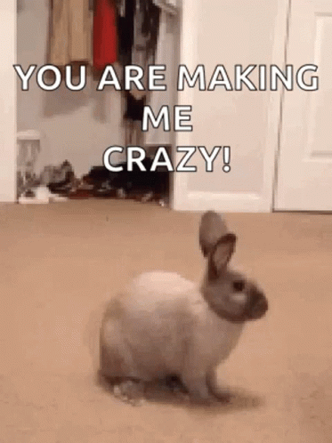 Bunny Jump GIF