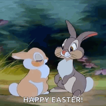 Bunny Love GIF