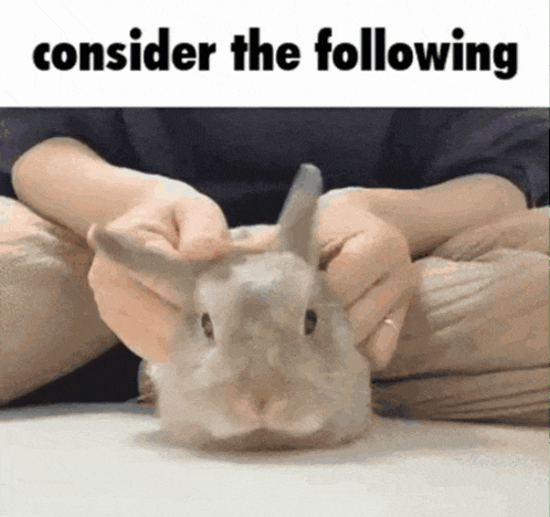 Bunny Silly GIF