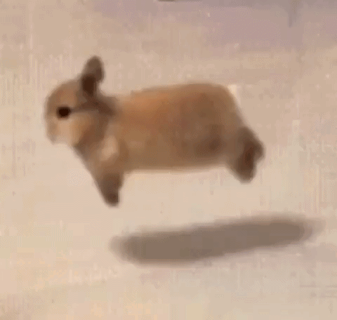 Bunny Sleep Bnuy GIF. This 480 x 456 animated GIF is part of our bunny collection. Related themes include cute cat. Created by Itznotnikko. View the…