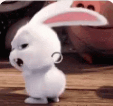 Bunny GIF