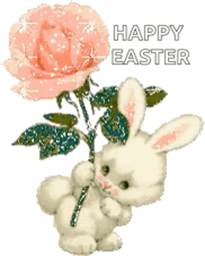 Bunny Sparkle GIF