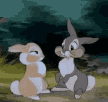 Bunny Tail Kiss GIF