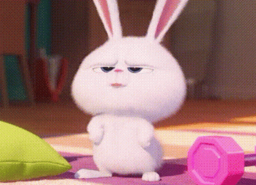 Bunny To Agree Thik Hai Samjh Gya GIF