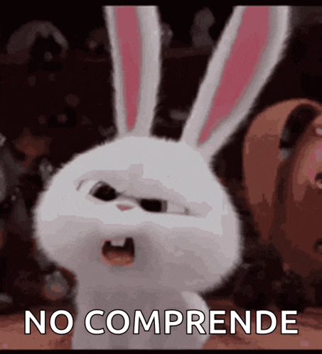 Bunny What GIF