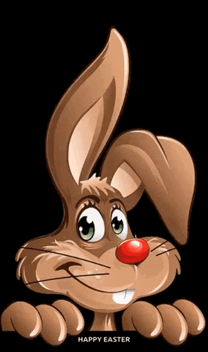 Bunny Wink GIF