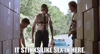 Bunty Soap Super Troopers GIF. This 400 x 217 animated GIF is part of our super troopers collection. Created by Liir. View the original animation, share it…