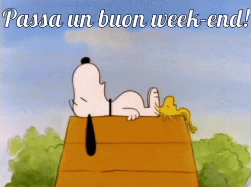 Buon Fine Settimana Buon Weekend GIF