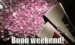 Buon Weekend GIF. This 250 x 150 animated GIF is part of our immagini buon weekend collection. Related themes include celebrate, happy weekend, yay. View…
