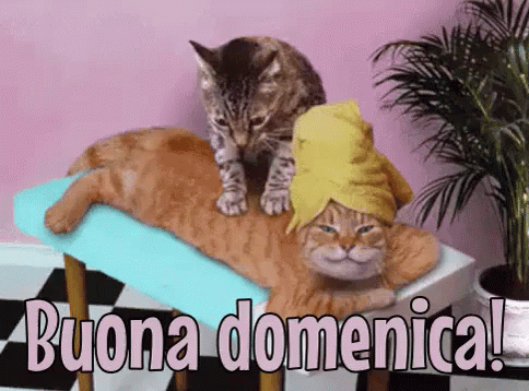 Buona Domenica A Tutti Felice Domenica Passa Una Buona Domenica Finalmente è Domenica GIF
