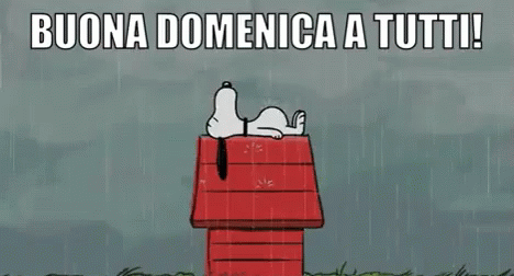 Buona Domenica A Tutti Felice Domenica Passa Una Buona Domenica Finalmente è Domenica GIF