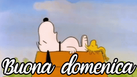 Buona Domenica Domenica Riposare Dormire Snoopy Peanuts GIF