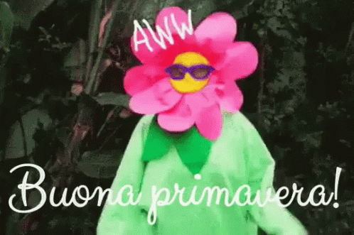 Buona Primavera Primavera Evviva Marzo Aprile Maggio Fiori Fiorire Bel Tempo GIF