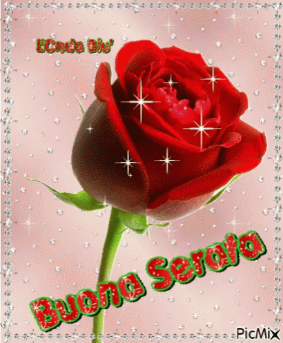 Buona Serata Rose GIF