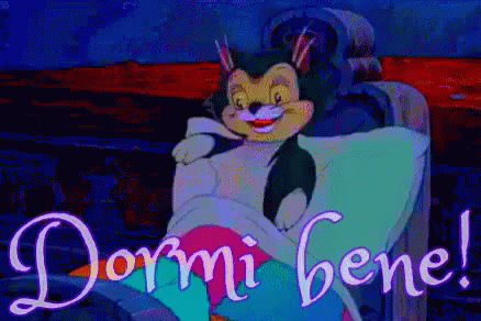 Buonanotte Buona Notte Sogni D’oro Dormi Bene A Domani Dormire Dormo Dormendo GIF