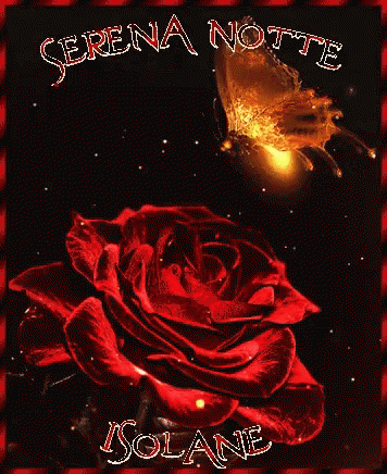 Buonanotte Rose GIF