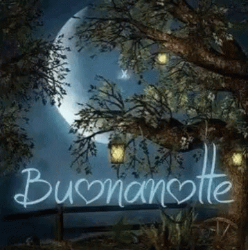 Buonanotte Sogni GIF