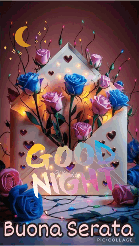 Buonanotte GIF