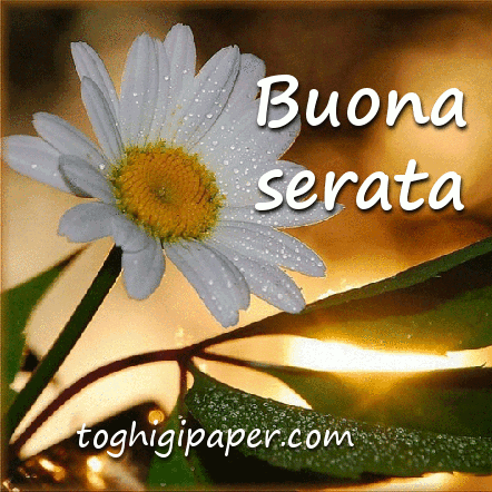 Buonaseratasayuri GIF