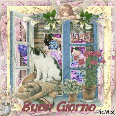 Buongiorno Cat GIF