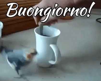 Buongiorno Felice Giorno Buon Giorno Buona Giornata A Tutti Svegliarsi Buondì GIF