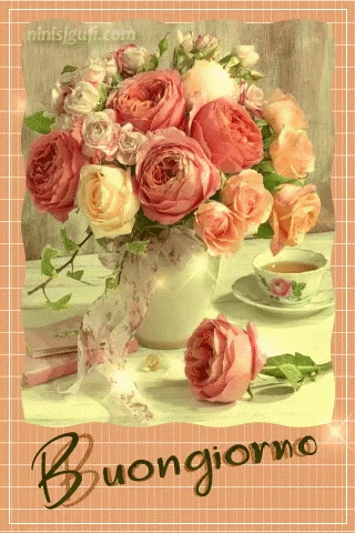 Buongiorno Rosa GIF